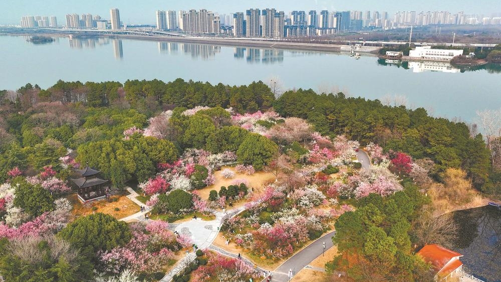 花开春意浓
